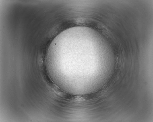 X0000068720702200605121452