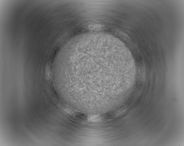 X0000068720705200605121452