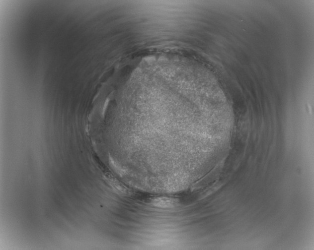 X0000068720708200605121452