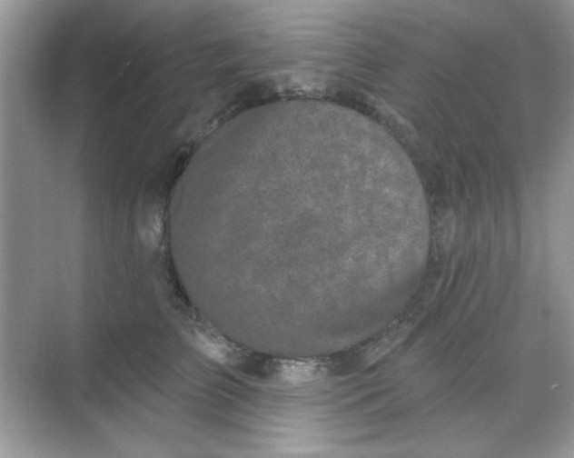 X0000068720709200605121452