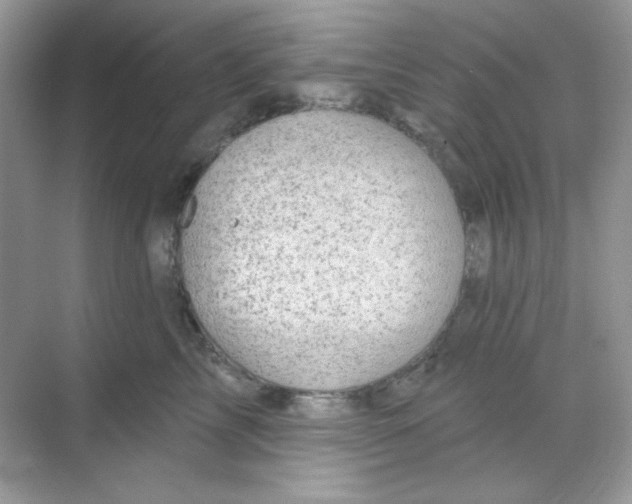 X0000068720713200605121452