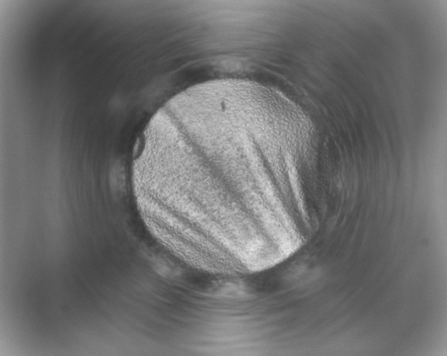 X0000068720715200605121452