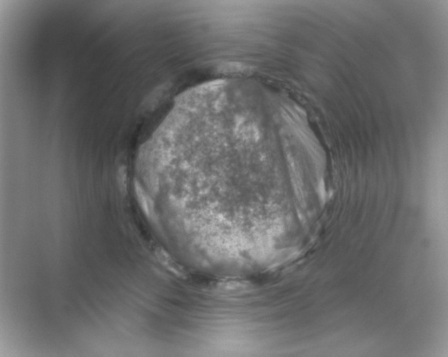 X0000068720716200605121452