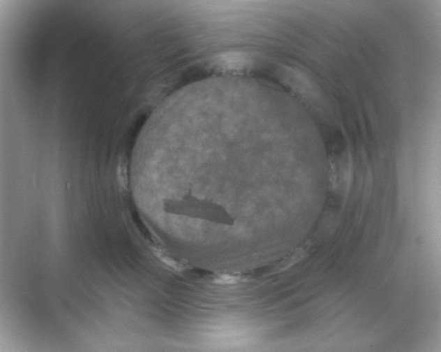 X0000068720718200605121452