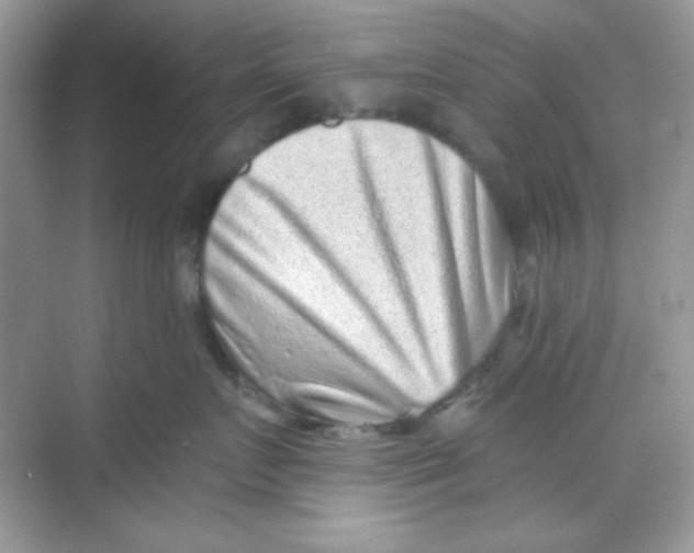 X0000068720719200605121452