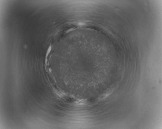 X0000068720720200605121452