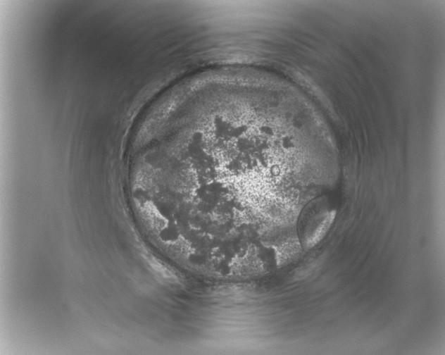 X0000068720721200605121451