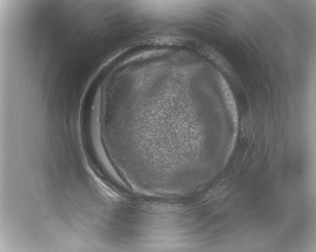 X0000068720722200605121451