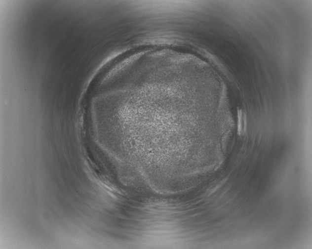 X0000068720723200605121451