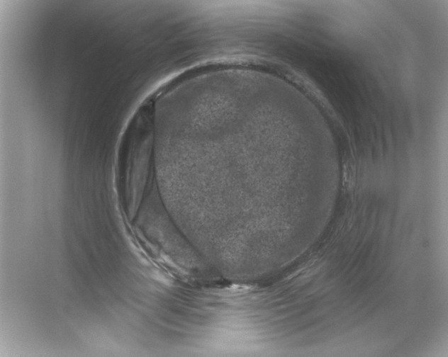 X0000068720724200605121451