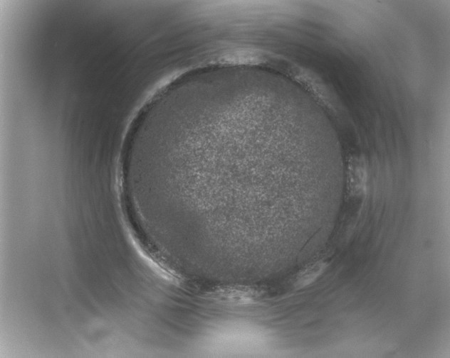 X0000068720726200605121451