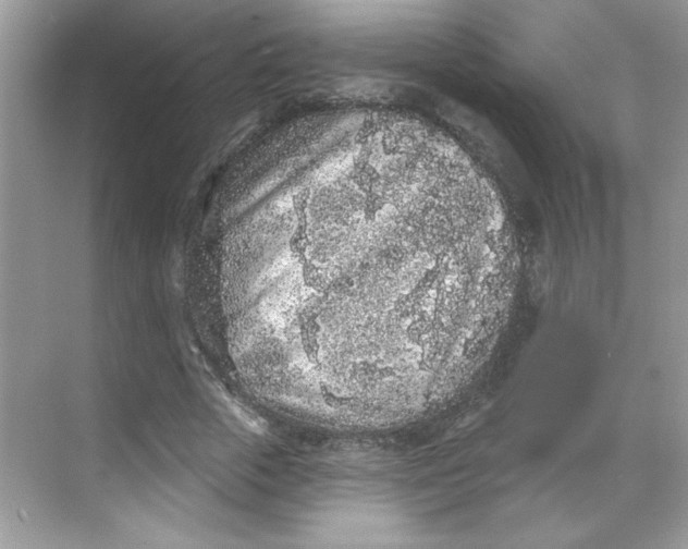 X0000068720729200605121451