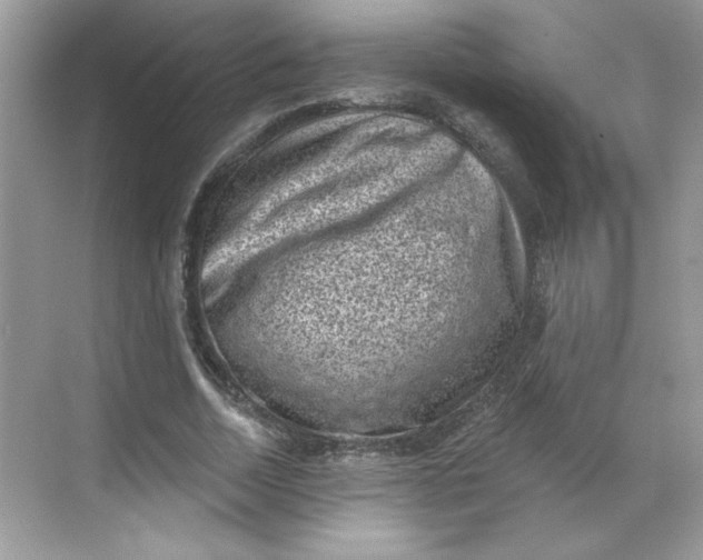 X0000068720730200605121451