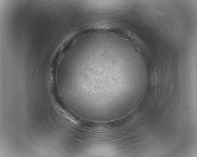 X0000068720731200605121451