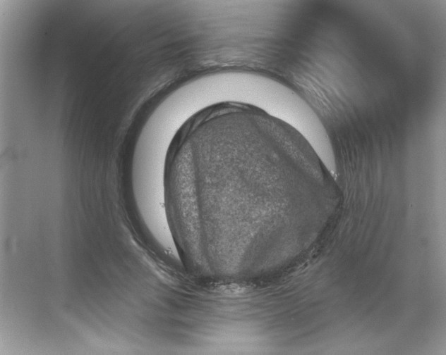 X0000068720735200605121451