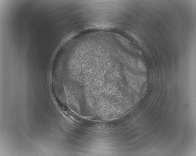 X0000068720736200605121451