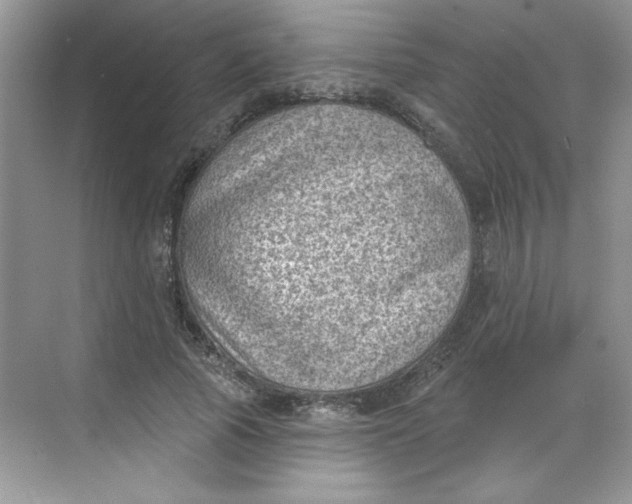 X0000068720737200605121451