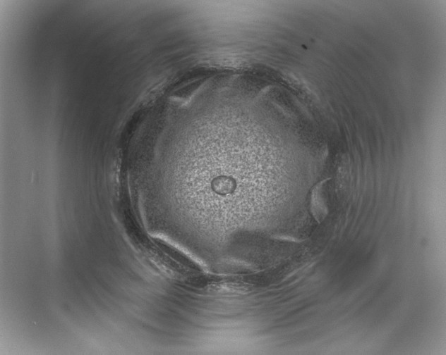 X0000068720739200605121451