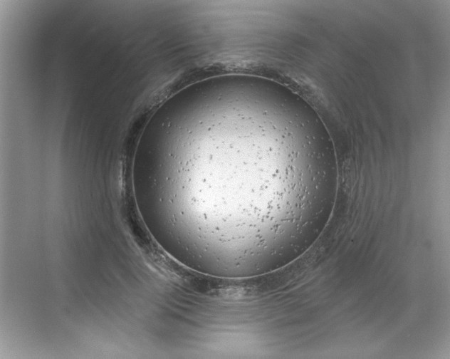 X0000068720740200605121451