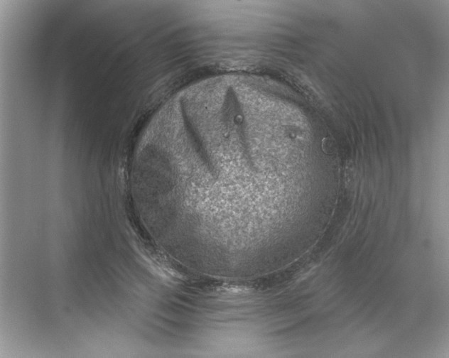 X0000068720741200605121451