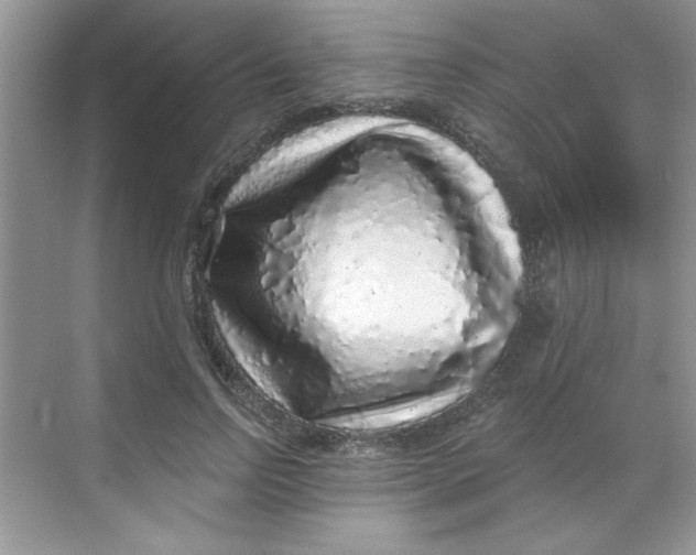 X0000068720742200605121451