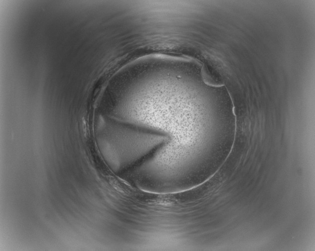 X0000068720743200605121451