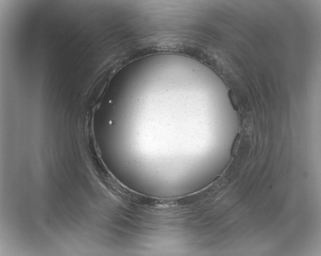 X0000068720744200605121451