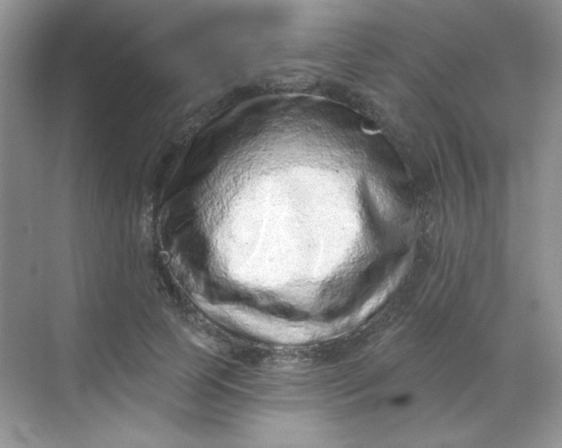 X0000068720745200605121451