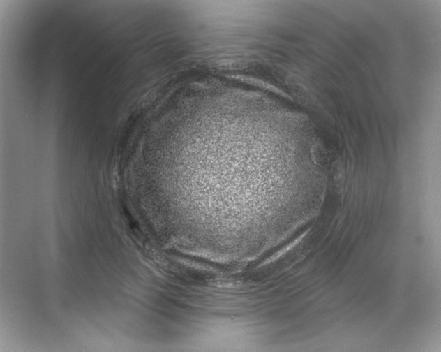 X0000068720746200605121452