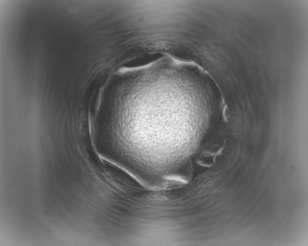 X0000068720747200605121452