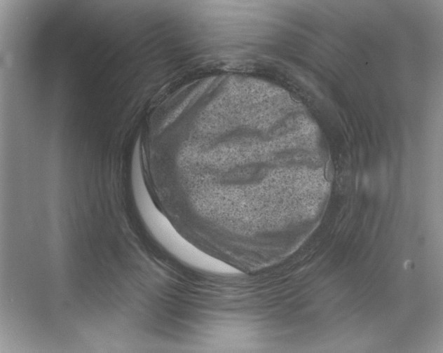 X0000068720748200605121452