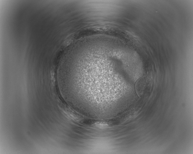 X0000068720749200605121452