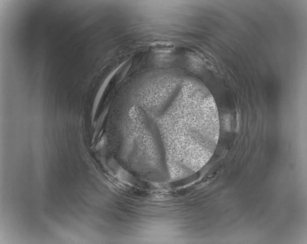 X0000068720750200605121452