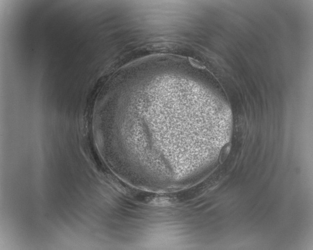 X0000068720751200605121452