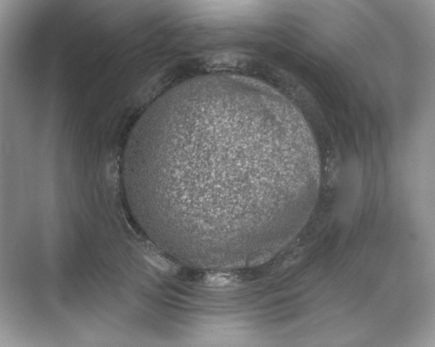 X0000068720753200605121452