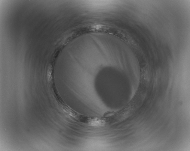 X0000068720754200605121452