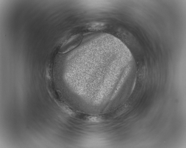 X0000068720755200605121452