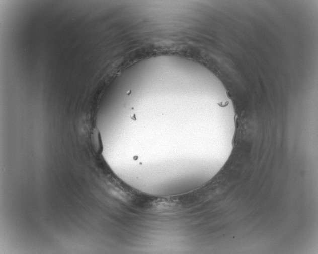 X0000068720756200605121452