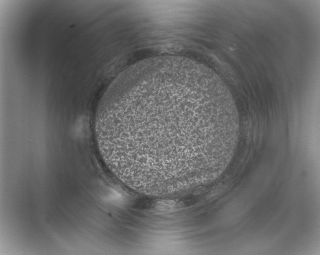 X0000068720757200605121452