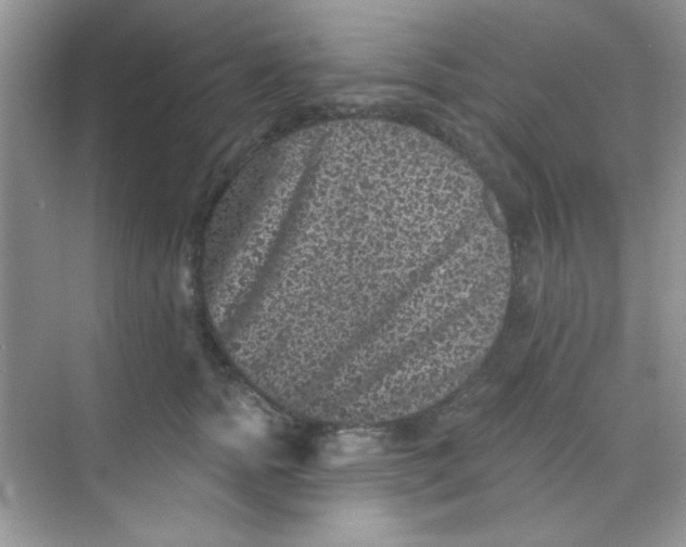 X0000068720758200605121452