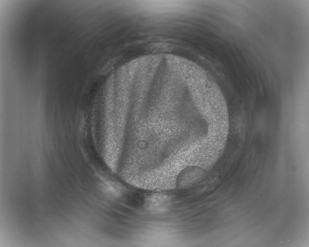 X0000068720759200605121452