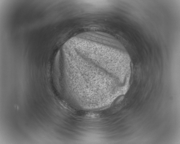 X0000068720760200605121452