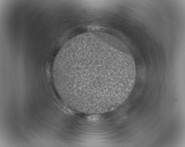 X0000068720761200605121452