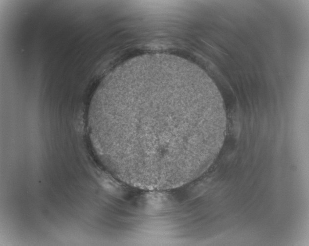 X0000068720762200605121452