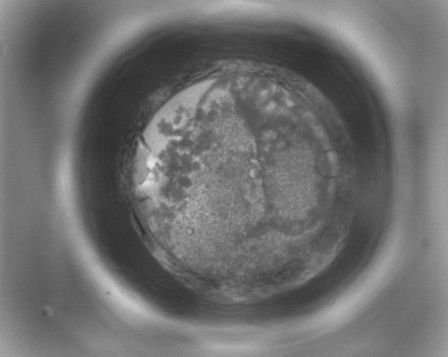 X0000068720765200605121452