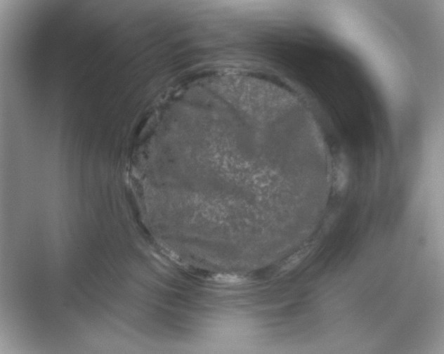 X0000068720766200605121452