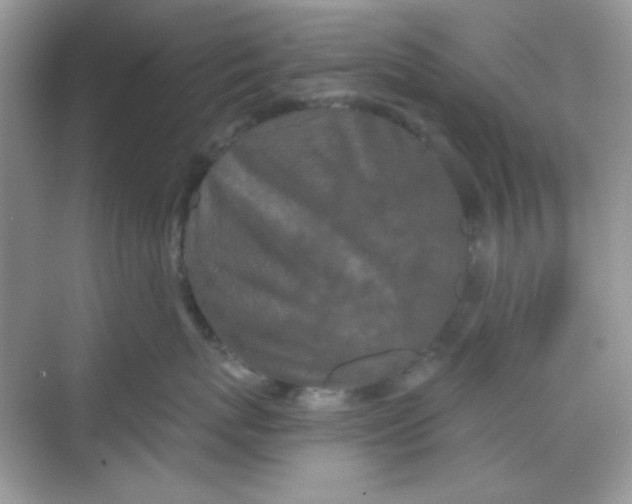 X0000068720767200605121452