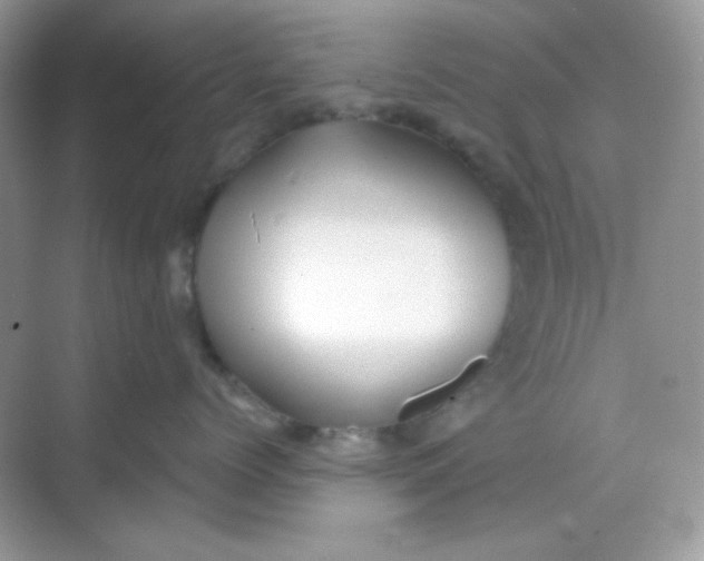 X0000068720768200605121452