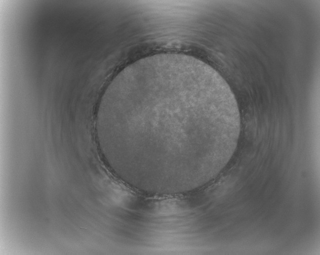 X0000068720769200605121451