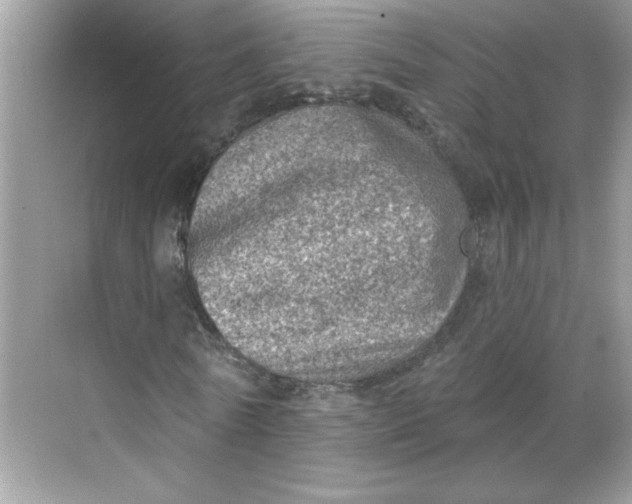 X0000068720770200605121451